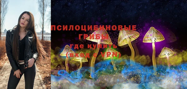 ECSTASY Абинск